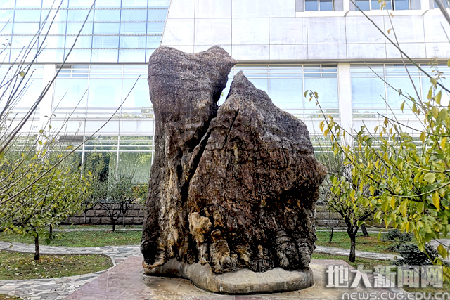 【地大故事⑬】叠层石：写在大地上的史书